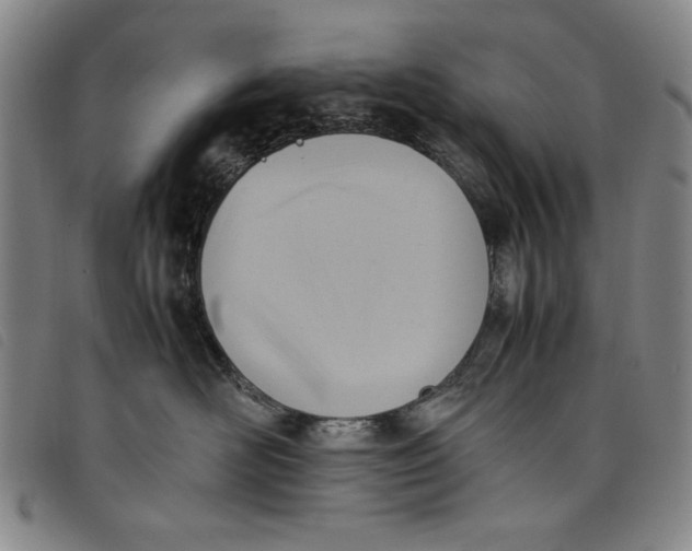 X0000097880526200804041616