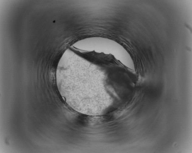 X0000097880527200804041616