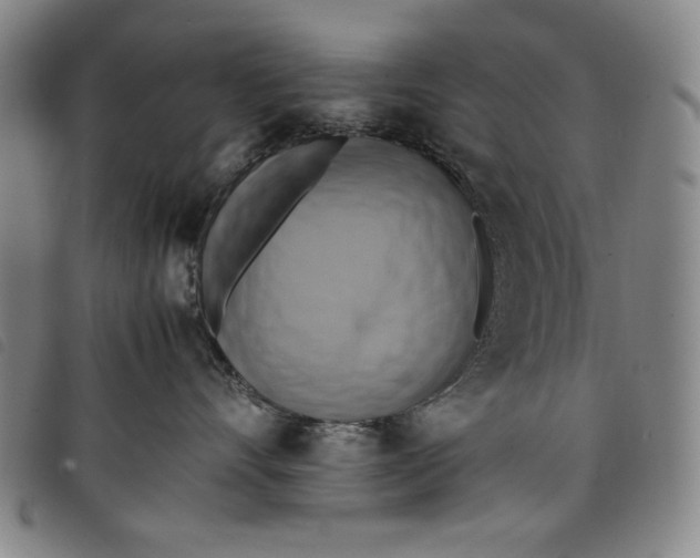 X0000097880528200804041616