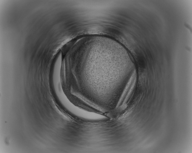 X0000097880530200804041616