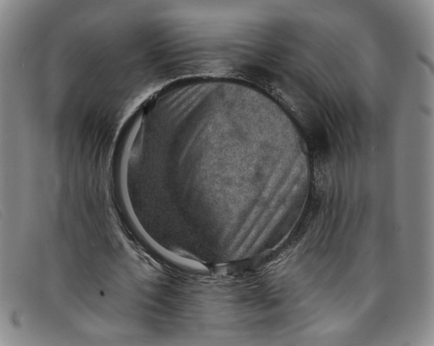 X0000097880532200804041616