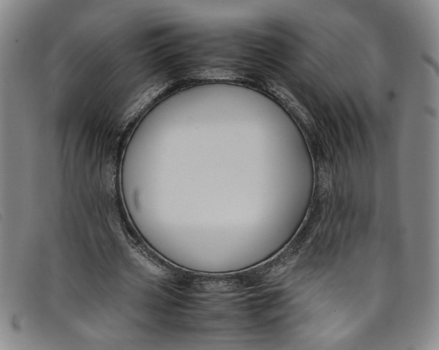 X0000097880533200804041616