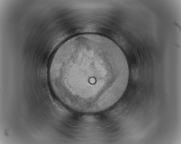 X0000097880534200804041616