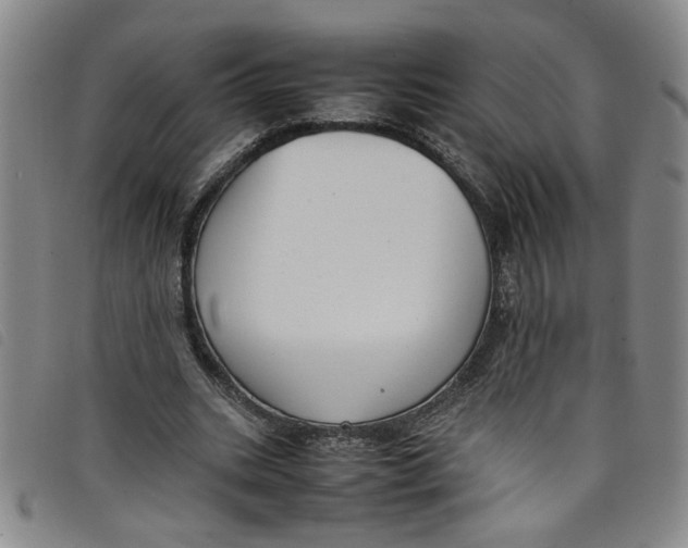 X0000097880535200804041616