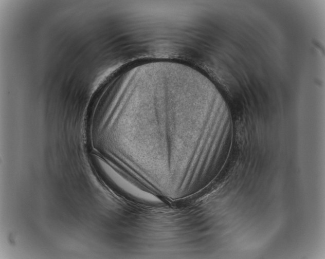 X0000097880536200804041616