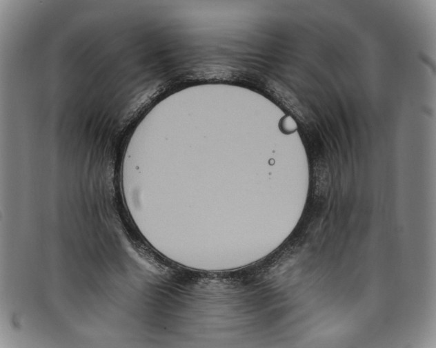 X0000097880538200804041616