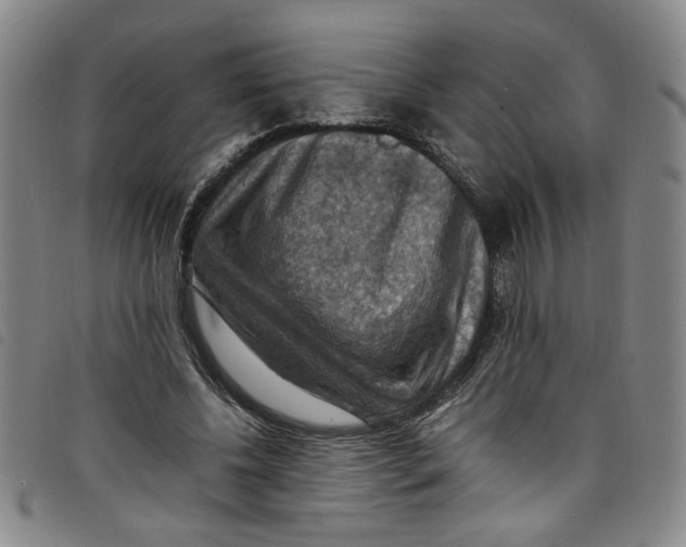 X0000097880540200804041616