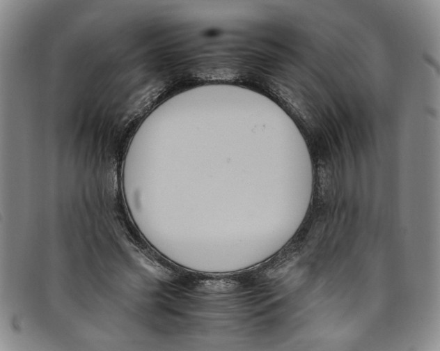 X0000097880541200804041616