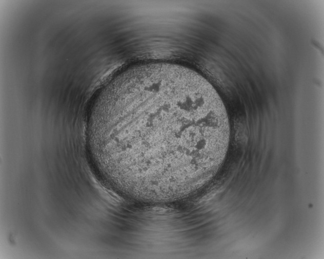 X0000097880542200804041616