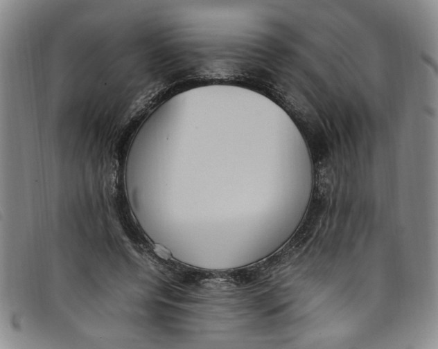 X0000097880544200804041616