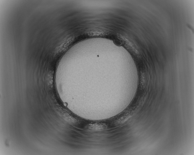 X0000097880545200804041616