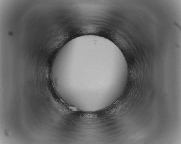 X0000097880546200804041616