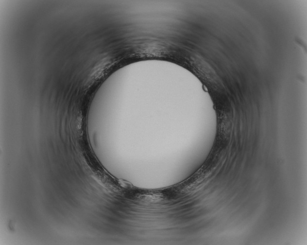 X0000097880548200804041616