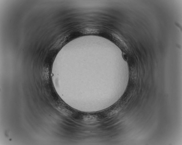 X0000097880549200804041616