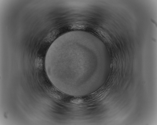 X0000097880551200804041616