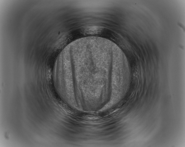 X0000097880555200804041616