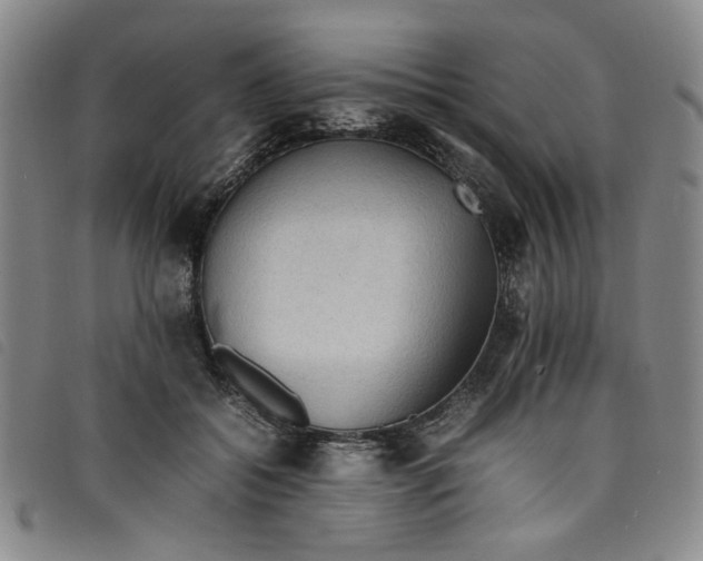 X0000097880556200804041616