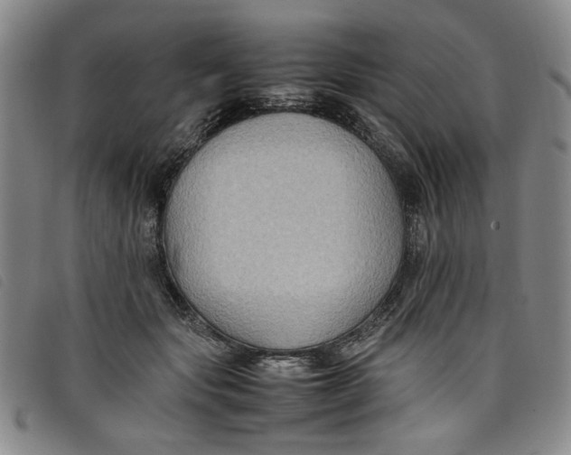 X0000097880557200804041616