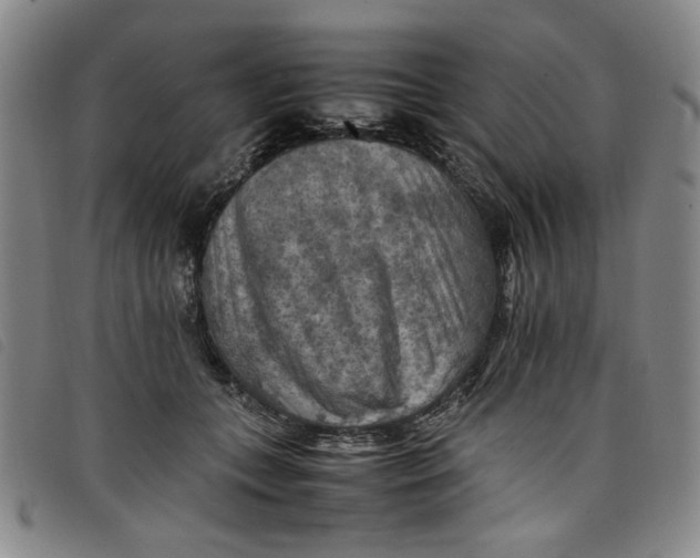 X0000097880559200804041616