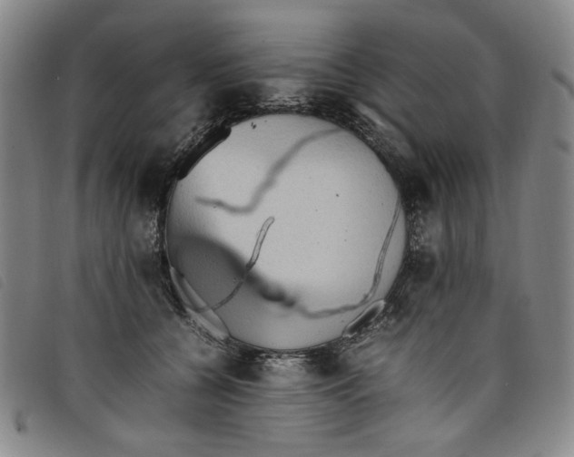 X0000097880560200804041616