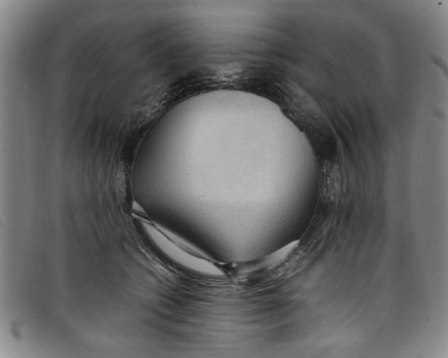 X0000097880562200804041616