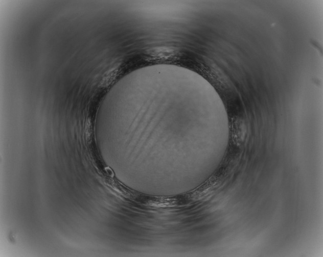 X0000097880563200804041616