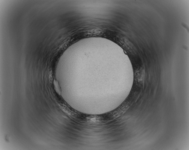 X0000097880564200804041616