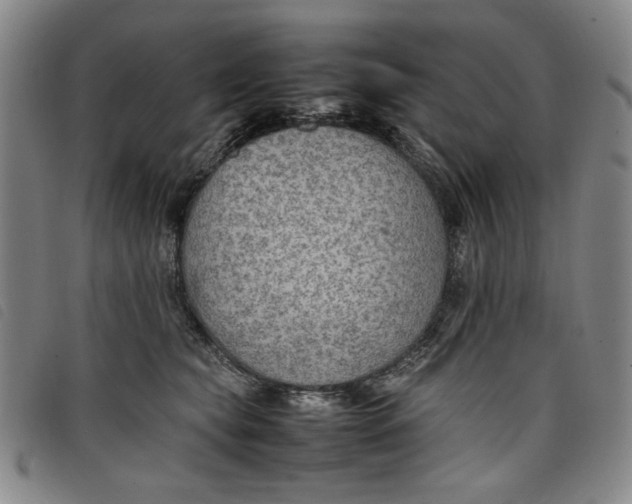 X0000097880565200804041616