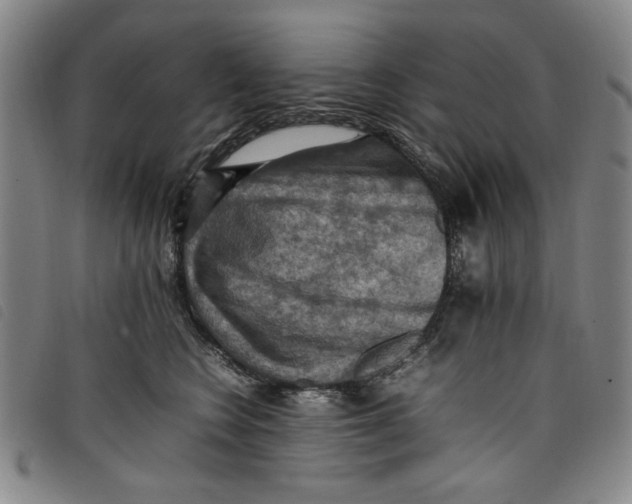 X0000097880566200804041616