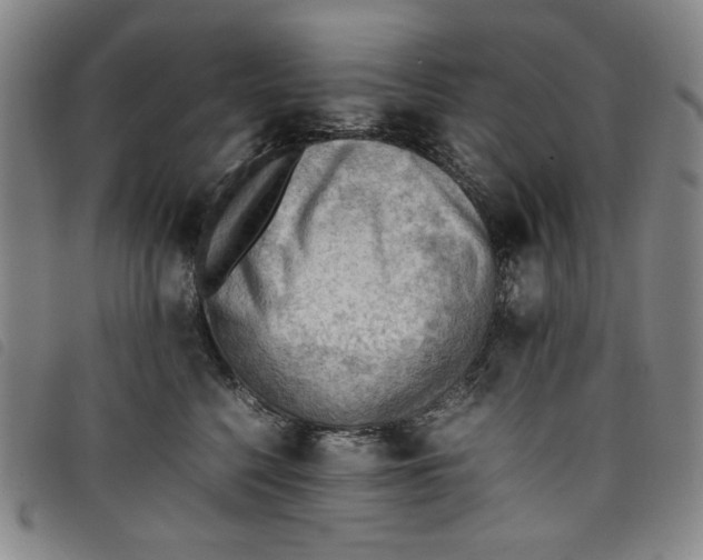 X0000097880568200804041616