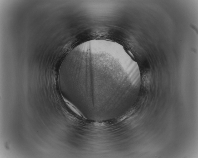 X0000097880570200804041616