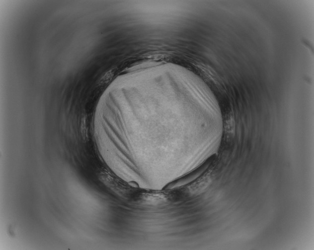 X0000097880572200804041616