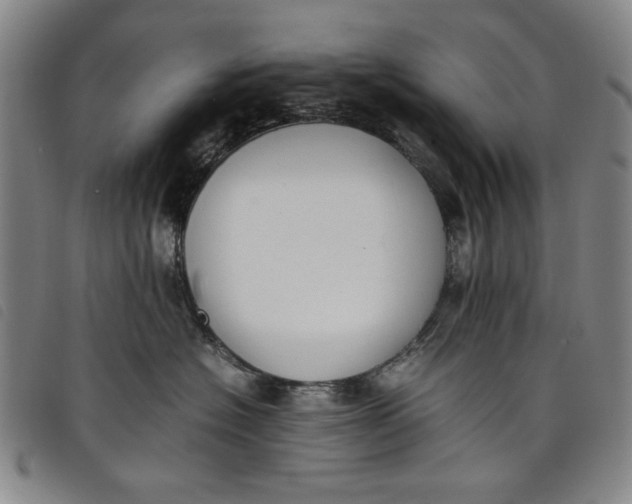 X0000097880574200804041616