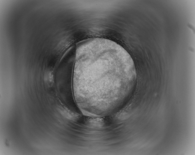 X0000097880576200804041616