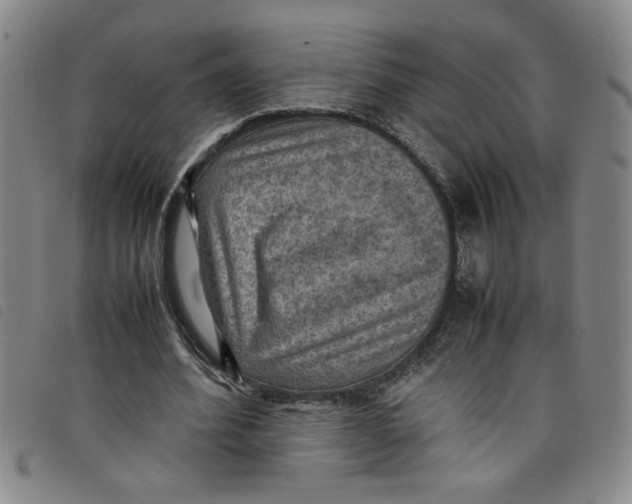 X0000097880580200804041616