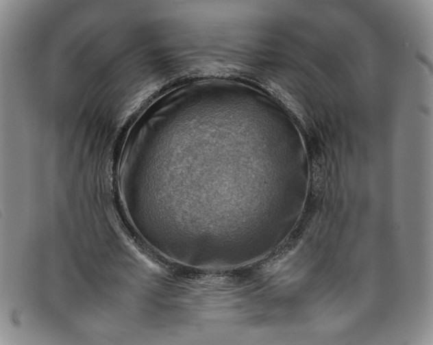 X0000097880581200804041616