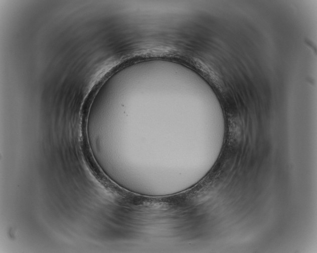 X0000097880582200804041616