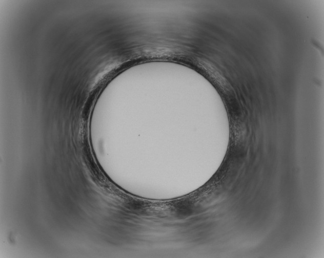 X0000097880583200804041616