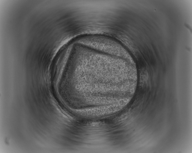 X0000097880584200804041616