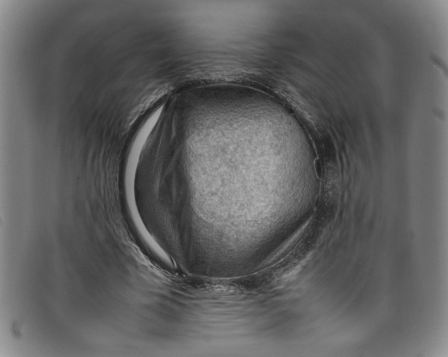 X0000097880585200804041615