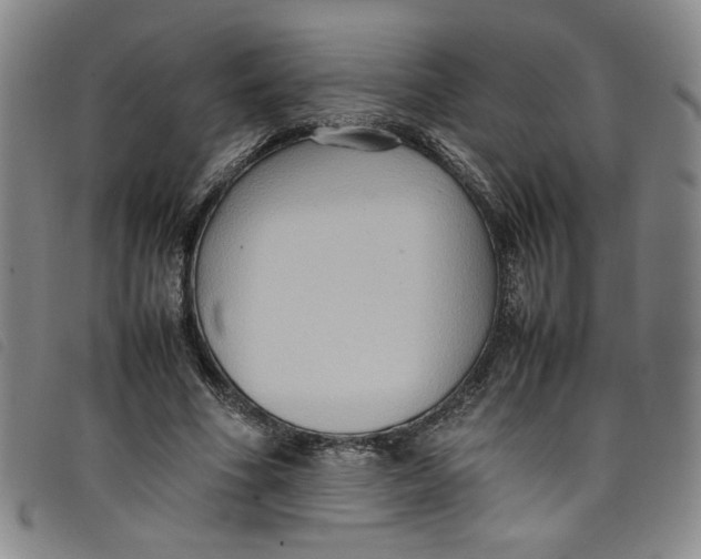 X0000097880586200804041615