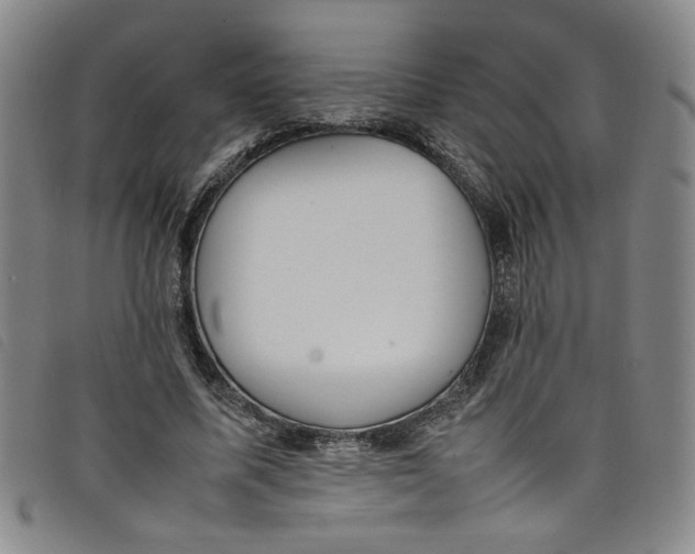 X0000097880587200804041615