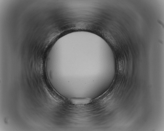 X0000097880588200804041615