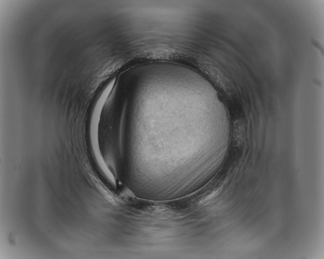 X0000097880589200804041615