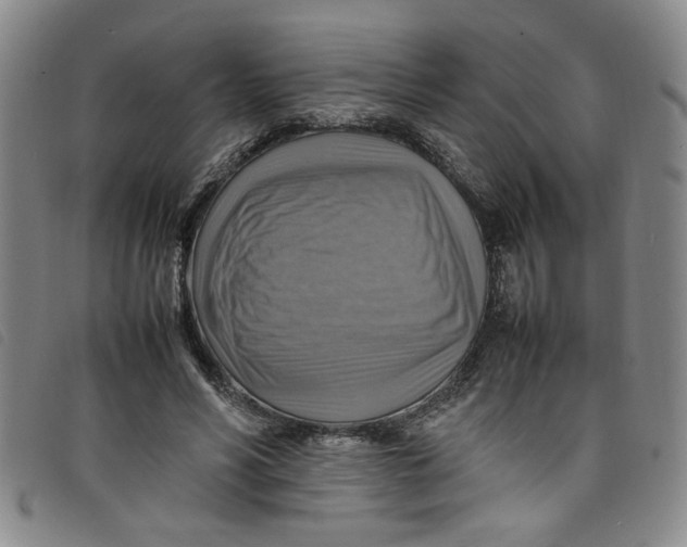 X0000097880590200804041615