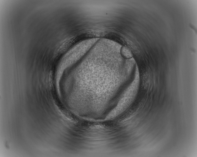 X0000097880594200804041615