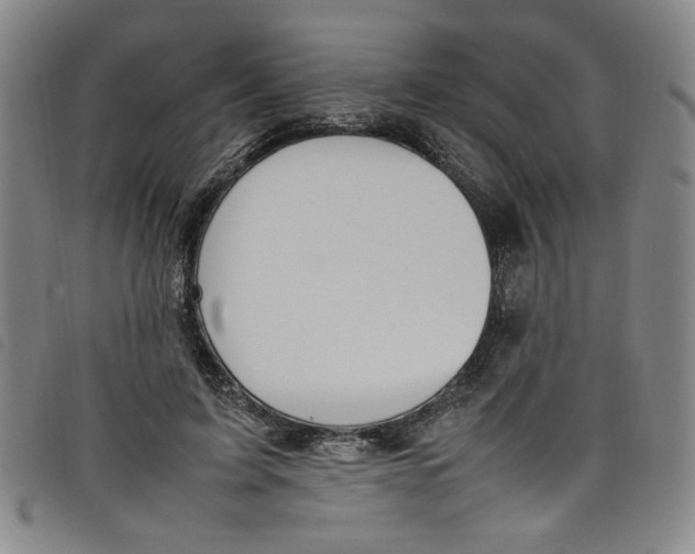 X0000097880595200804041615