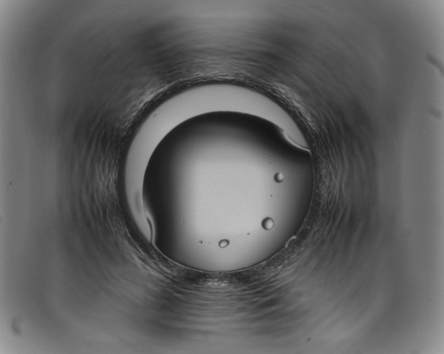 X0000097880596200804041615