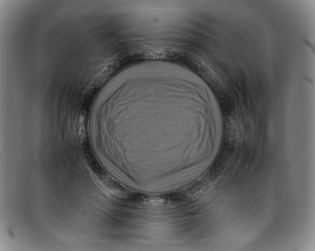 X0000097880598200804041615