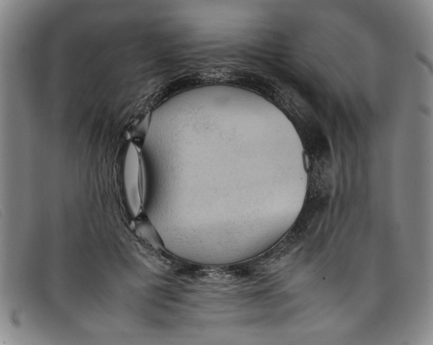 X0000097880601200804041615